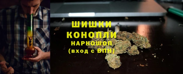 дурь Белокуриха