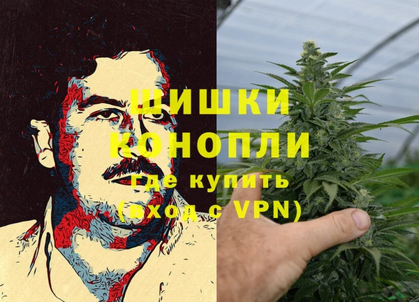 дурь Белокуриха