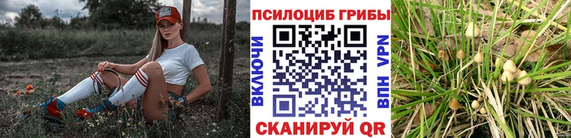 МЕГА зеркало  Невьянск  Псилоцибиновые грибы Psilocybine cubensis 
